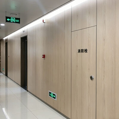 Moistureproof Phenolic Wall Panels Antibacterial HPL Compact Board