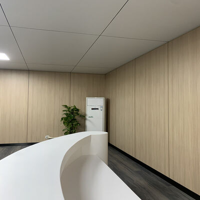 Custom HPL Wall Panel Contemporary Compact Laminate Wall Panels For Hotel And Hospital