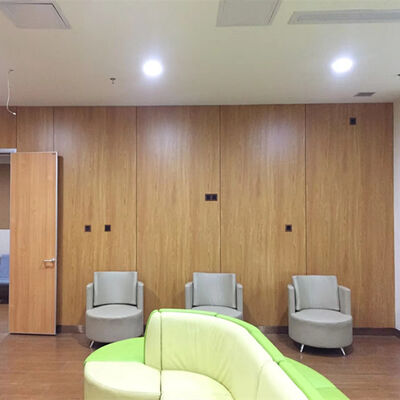 12mm - 25mm HPL Interior Wall Cladding Anti Bacterial Wall Cladding For Hospitals