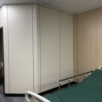 Eco Friendly Custom Wall Cladding Fire Resistant / Water Resistant Wall Cladding Board For Hospital Mall