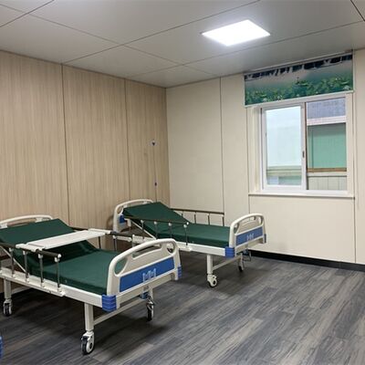 Anti Bacterial HPL Wall Panel Impact Resistant Hospital Wall Panel