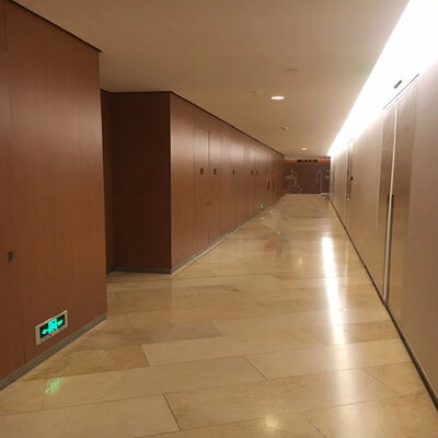Washable HPL Wall Cladding Multi Purpose Hospital Wall Panels Eco Friendly