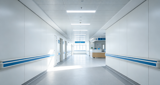 Fireproof Internal Wall Cladding Compact HPL Wall Cladding Antibacterial For Hospital
