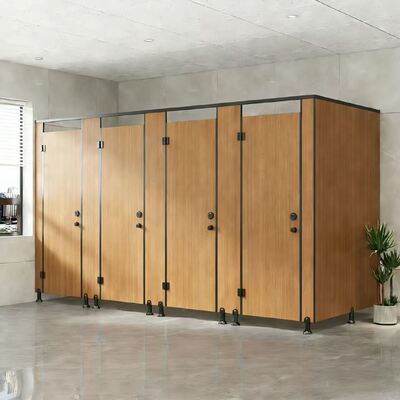 Compact Waterproof & Moisture-Proof Composite Toilet Partition