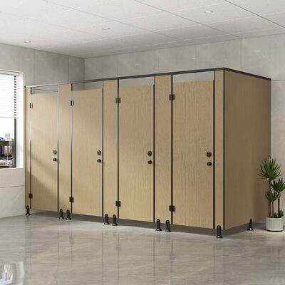 Compact Waterproof & Moisture-Proof Composite Toilet Partition