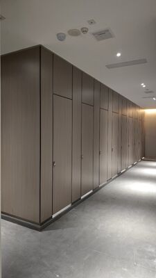 Modern Phenolic Compact Laminate Toilet & Urinal Partition
