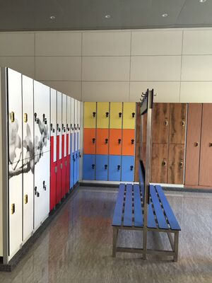 1. HPL Compact Laminate Locker, Waterproof Custom Color Storage Locker for Gym School Swimming Pool Changing Room