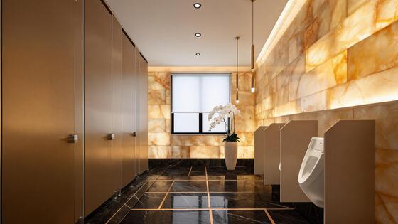 Custom Phenolic Toilet Partitions for Factory｜Public Restroom Partition System for Office, Stadium & Hospital