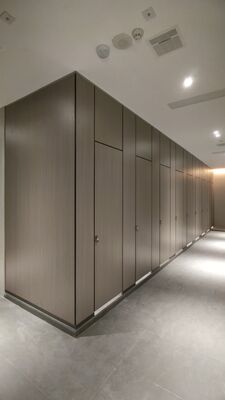 Phenolic Compact Laminate Toilet Partitions | HPL Restroom Cubicles for Commercial Washroom